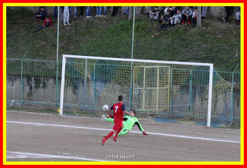 181111 Cepha_Milazzo 096_tn.JPG